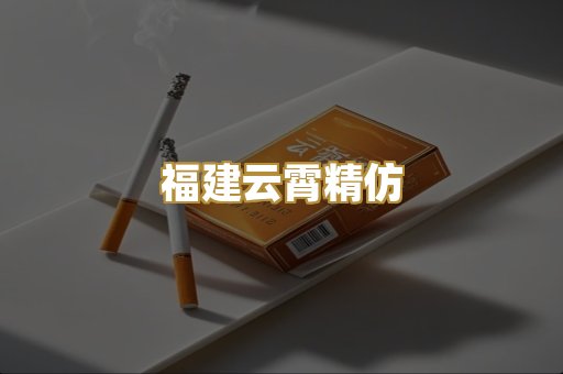 福建云霄精仿